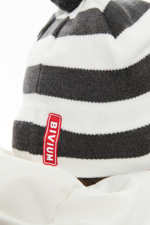 Шапка Bivium "Apex" полосатая (белый/графит)