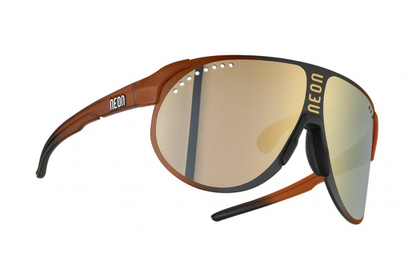 Очки Neon TITAN Black Matt Dark Black CRY Caramel (2 линзы) TICRYMLBK X5+XО