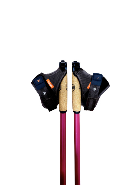 Палки DE Torino carbon 20