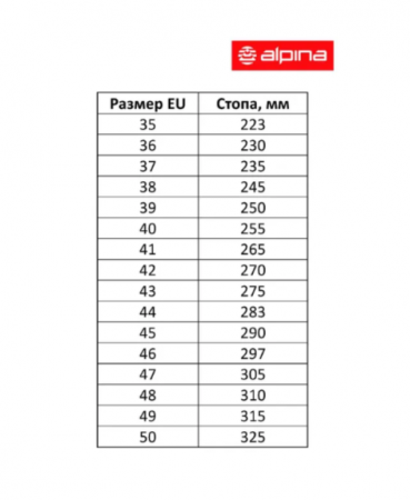 Ботинки Alpina RACE SKATE 5374-1B